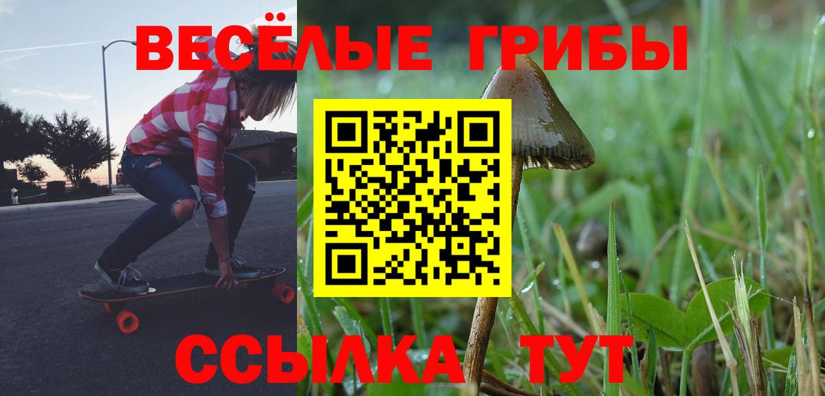 Псилоцибиновые грибы GOLDEN TEACHER Томск